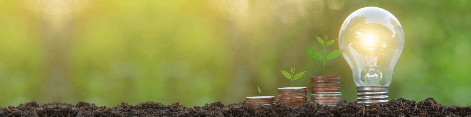 Amara NZero Finance