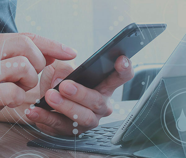 Catalogues Amara NZero