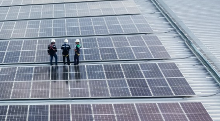 sectores-solar