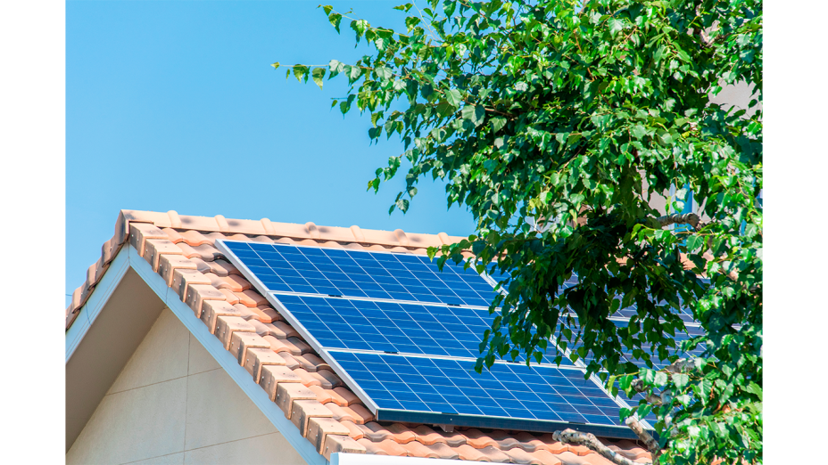 placas solares residenciales tapadas por un arbol
