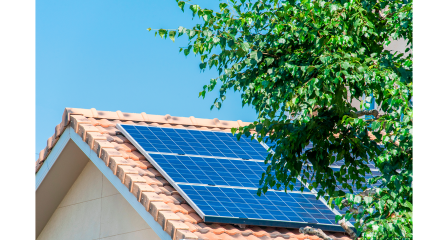 placas solares residenciales tapadas por un arbol