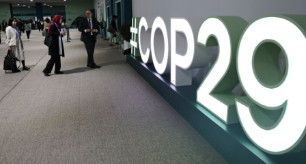 COP29